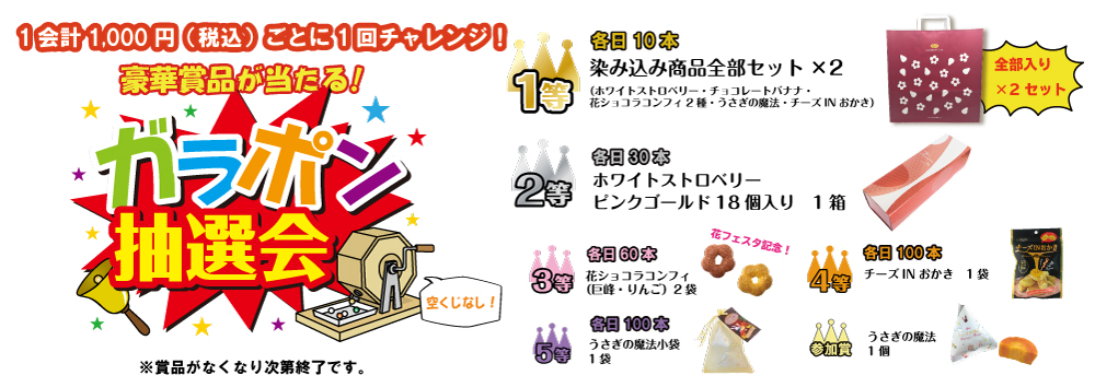 2019信州夢街道フェスタ