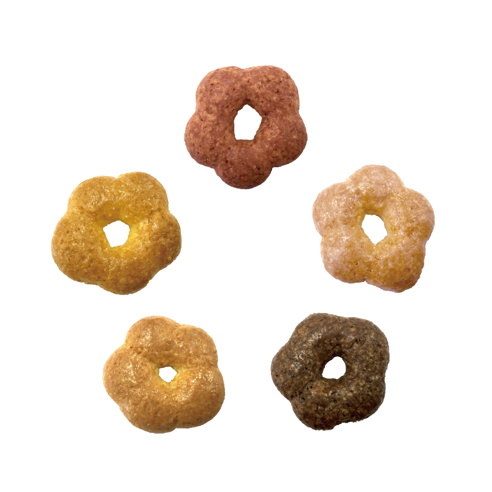 信州産フルーツチョコなどを染み込ませた花ショコラコンフィ